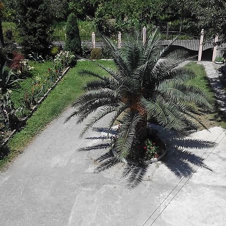 Guest House Vitali Gonio Exterior photo
